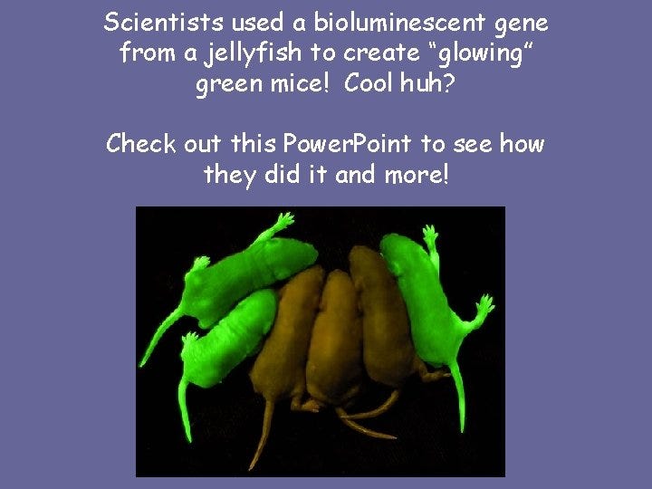 Scientists used a bioluminescent gene from a jellyfish
