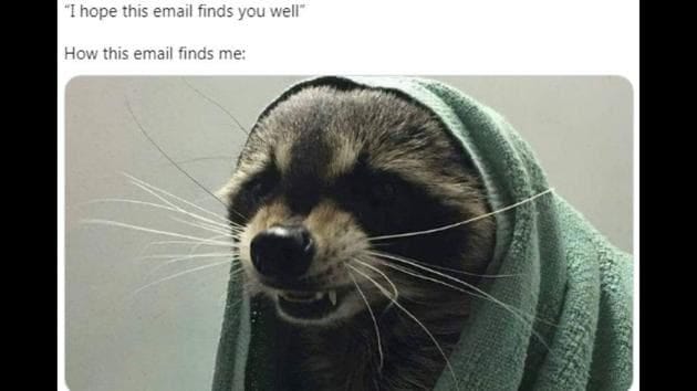 I hope this email finds you well' memes are hilariously relatable. Seen them yet? | Trending - Hindustan Times